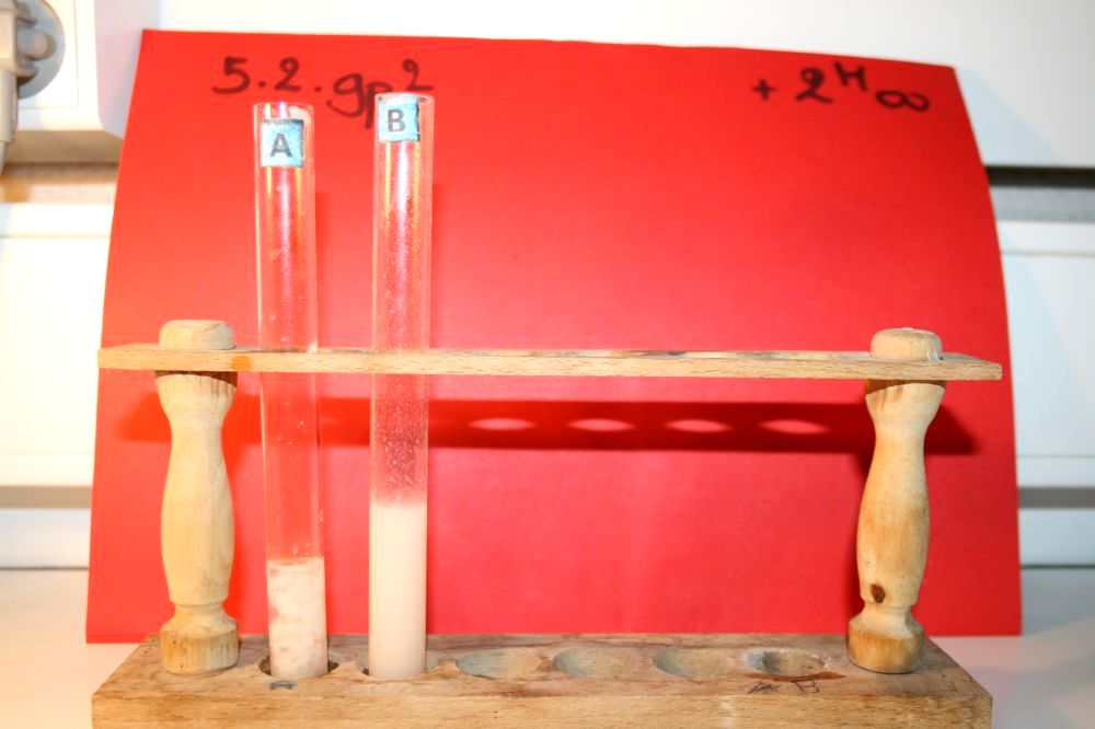 gal/LES_CINQUIEMES/ACTIVITE DIGESTION IN VITRO/Groupe_02/Groupe02_T_02h00min/Groupe02_temps02H00min_16.jpg